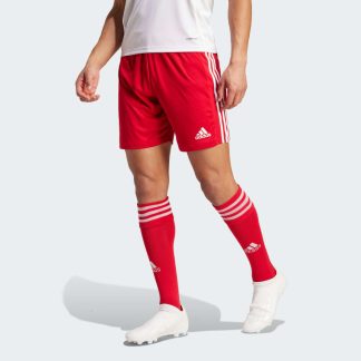 adidas Squadra 21 Shorts